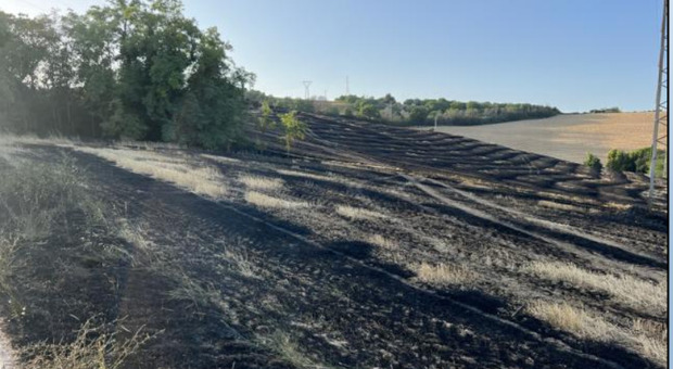 Incendio distrugge un campo di grano: pericolo per le case, la strada Castiglionese chiusa per due ore