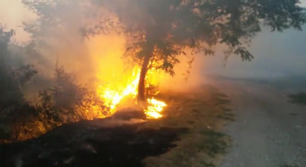 Vasti incendi tra le aree di Pianura e Marano: le fiamme lambiscono le abitazioni