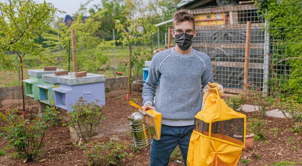 Alessio Parin, l'imprenditore di 19 anni che ha realizzato il suo sogno dedicandosi all'apicoltura