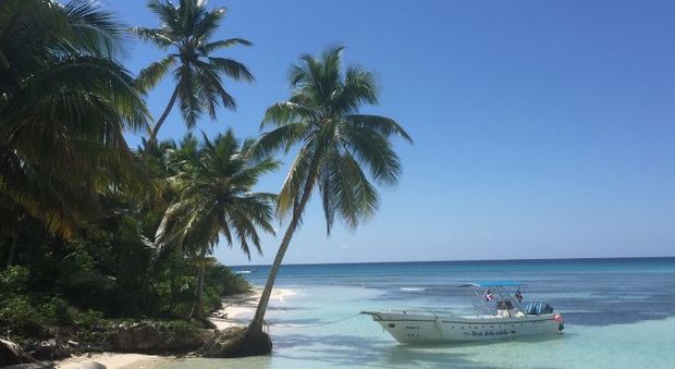 Mille sfumature di azzurro ai Caraibi: l'isola di Saona e il paradiso delle stelle marine
