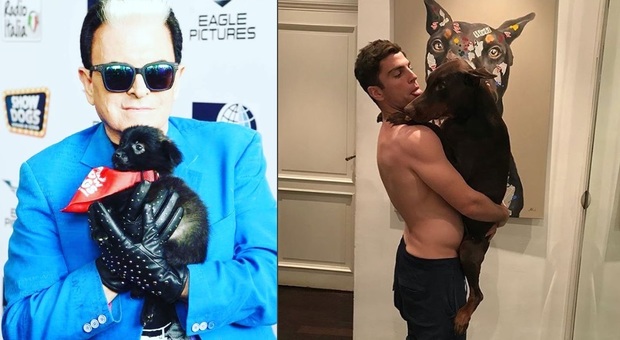 Grande Fratello, Malgioglio attacca Filippo su Instagram: «I cani si educano con amore non con la violenza»