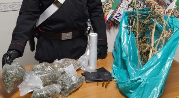 Operazione dei carabinieri contro il traffico di droga nel Salernitano