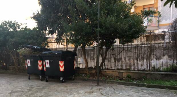 Scuola Fava-Gioia in centro a Napoli, ripulito il cortile: via rifiuti ed erbacce