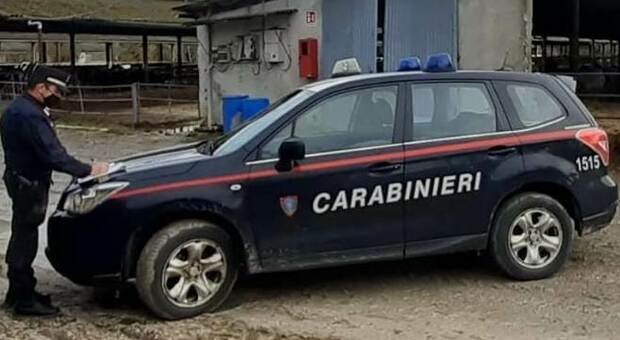 Danneggia l'asta della bandiera europea: i carabinieri denunciano un giovane dopo la segnalazione del sindaco