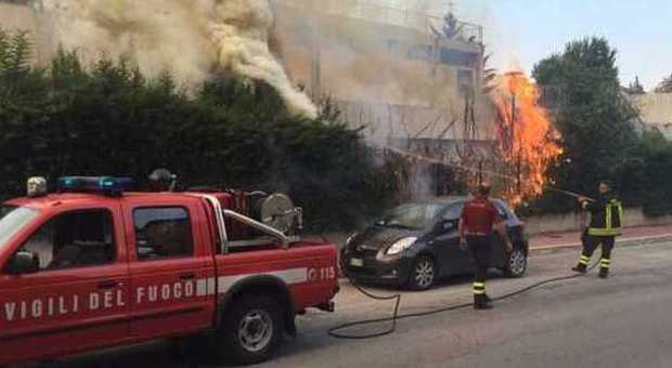 Ascoli: scoppia un incendio al liceo scientifico, alberi in fiamme
