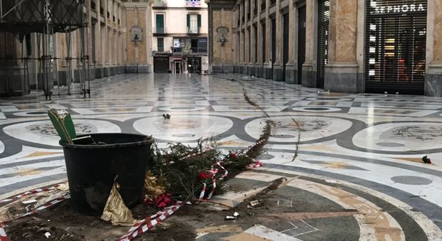 Napoli, la sfida delle babygang: l'albero di Natale della Galleria Umberto I rubato di nuovo