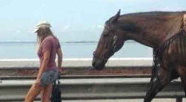 Turista a cavallo sul Ponte: multata per l'intralcio e per gli... escrementi