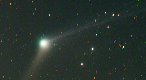 Ecco la cometa con due code, invito degli astronomi all'alba con la brioche