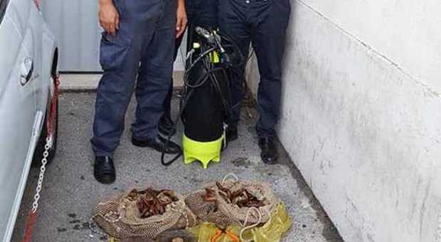 Bio-pirati a Capri: distruggevano gli scogli con l'esplosivo per raccogliere i datteri