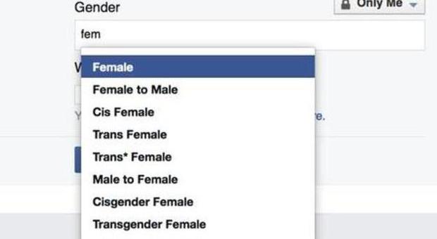 Facebook, libertà su identità di genere anche in Italia: ecco cosa cambia