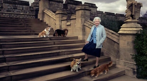 La regina Elisabetta e l'amore per i suoi "corgi": i cani che ha amato per tutta la vita
