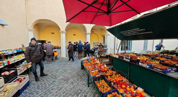 Pesaro, più clienti al Mercato delle erbe ma in via Gavardini servono gazebo anti pioggia. Domani si inaugura ufficialmente