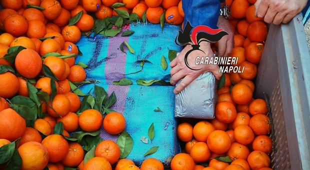 Napoli, sequestrata una tonnellata di hashish nascosta sotto cipolle e arance