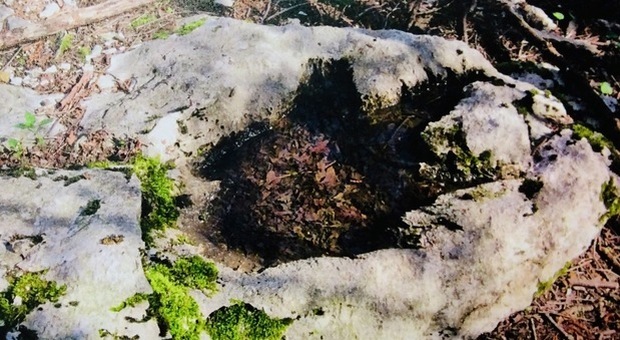 Impronta di dinosauro a Polcenigo, la conferma degli esperti: «È autentica»