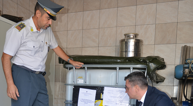 Maxi sequestro di olio d'oliva: 2mila litri donati alla Caritas