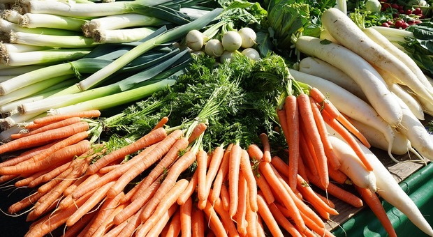 Fvg. Frutta e verdura salate - Foto di Hans da Pixabay