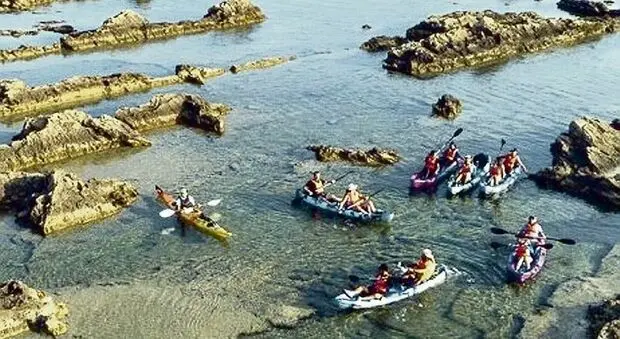 Alla scoperta del litorale e della fauna marina: il turismo diventa eco con i mini tour in kayak alla scoperta della costa brindisina