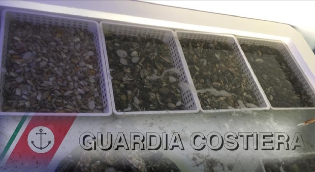 Sequestrate quintali di vongole inquinate pescate alla foce del Sarno