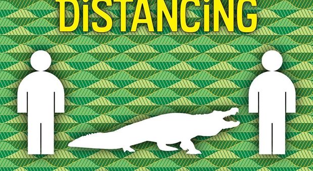 Il distanziamento sociale: in Florida la misura è quella di un "alligatore grande"