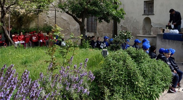 Capri, gli alunni delle primarie alla scoperta dell'olio presso la Certosa di San Giacomo