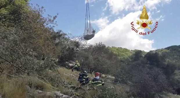 Mucca cade in dirupo: salvata con l'elicottero dai vigili del fuoco
