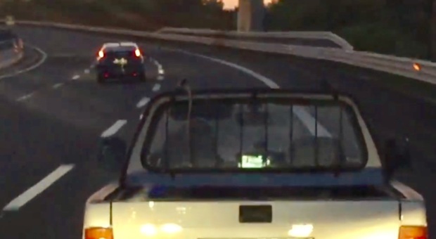 Senigallia, guida sull'autostrada A14 guardando un film: indaga la polizia