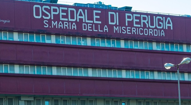 Perugia, movida choc: rischia di finire in coma dopo un pugno preso fuori da un bar