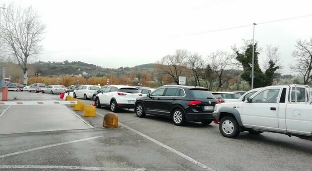 Gli automobilisti in fila per il tampone a Pesaro