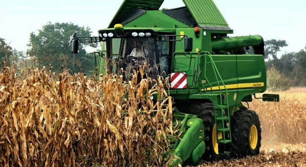 Inflazione, mais e soia da record: boom dei prezzi delle materie prime agricole