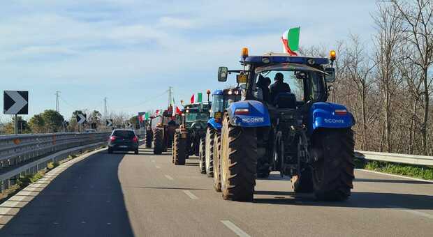 Protesta agricoltori, i trattori arrivano a Nardò: sit in nell'area mercatale. Disagi alla circolazione