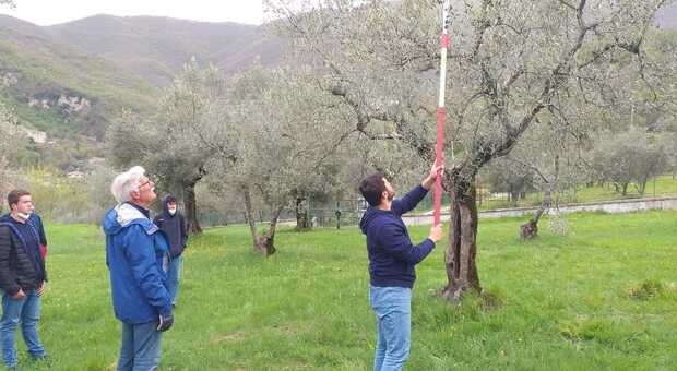 All'Agraria lezioni di orienteering e potatura: successo per l'intervento di Giorgio Pannelli