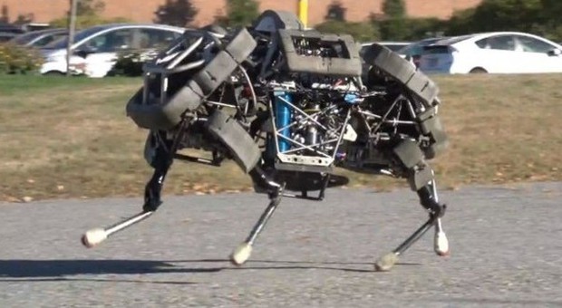 WildCat; gatto; DARPA; Boston Dynamics; MIT; robot