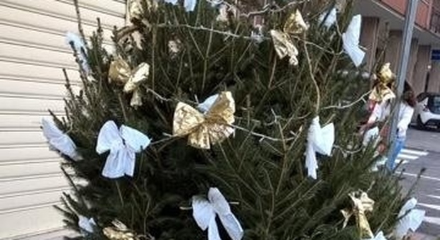 Rubano l'albero di Natale per figli, i carabinieri glielo regalano