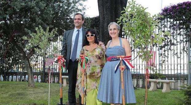 Stars and Stripes, due alberi per il sogno Usa a Napoli