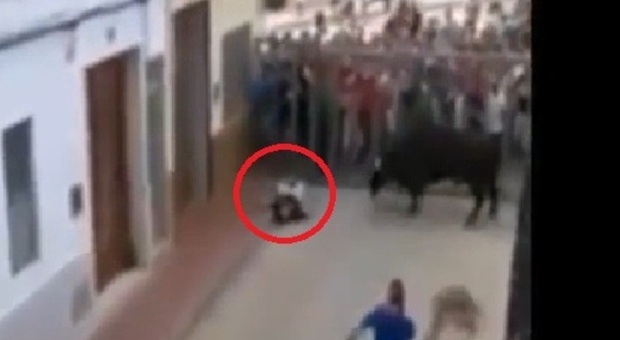 Spagna, rincorso e incornato da un toro: 32enne muore durante un encierro | Video choc