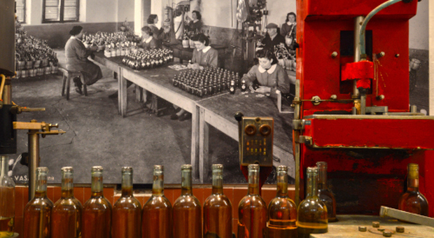 Castiglione in Teverina: Museo del vino