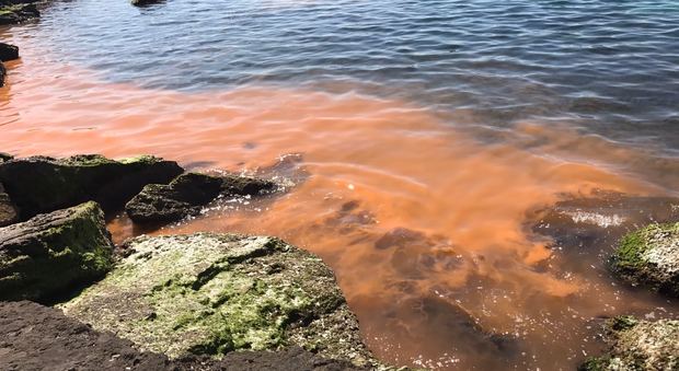 Mar Rosso nel Salento: ecco da cosa dipende la strana chiazza