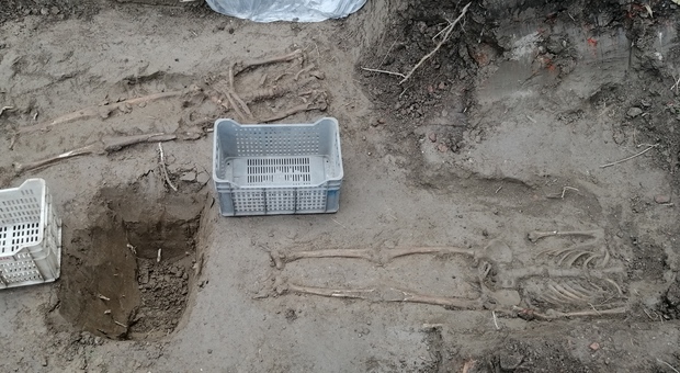 Gli scheletri ritrovati durante i lavori alla chiesa di Cavazzana