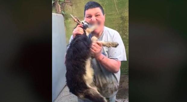 «Ecco come divorarla»: morde la testa di un capretto e posta il video su Fb, denunciato dagli animalisti