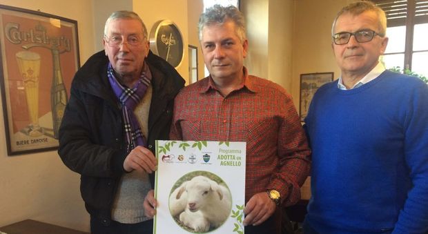 Gli allevatori lanciano l'iniziativa "Adotta un agnello"