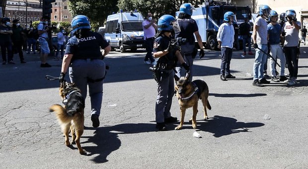 In prima linea contro i violenti: quei cani-poliziotto senza paura