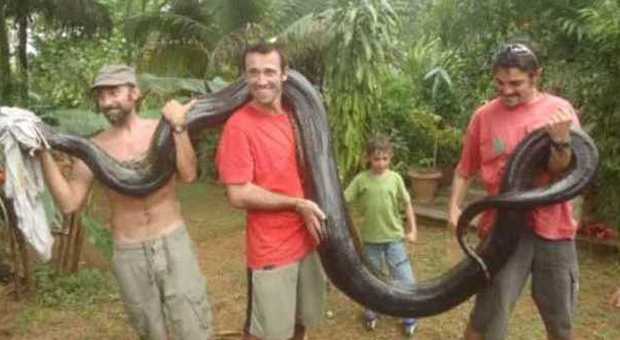 Trova un'anaconda di 5 metri e la porta a casa per farci giocare i figli