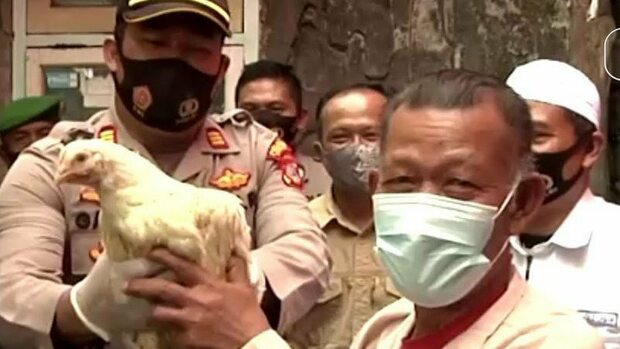 Città dell'Indonesia distribuisce polli a chi si fa vaccinare contro il Covid