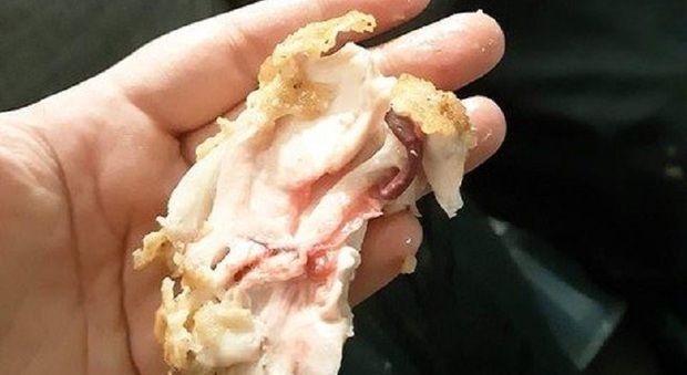 Dopo la vite nel panino, il pollo crudo ai bambini delle scuole milanesi: la denuncia di un genitore alla Milano Ristorazione