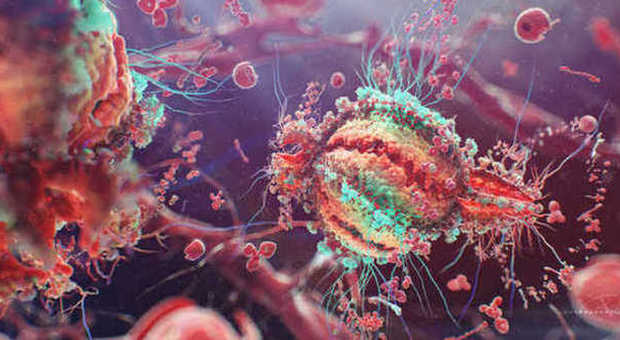 Tumori, ecco i virus che sconfiggeranno il cancro: herpes, raffreddore e polio
