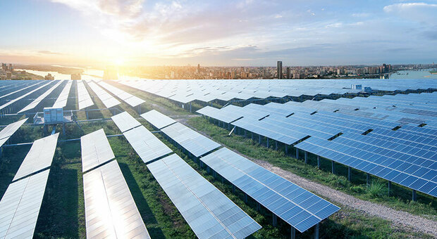 Energia solare e agricoltura: l'innovazione dell'agrovoltaggio dell'israeliana Doral