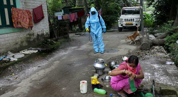 Non solo covid, il “fungo nero” spaventa l'India: 4.200 morti. Basta essere toccati per essere infettati