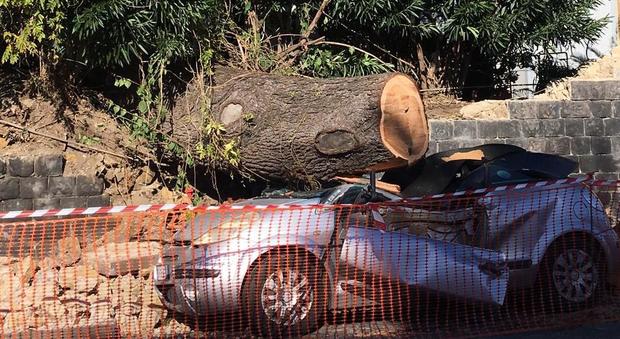 Maltempo a Napoli, piovono alberi: distrutta auto parcheggiata a Posillipo