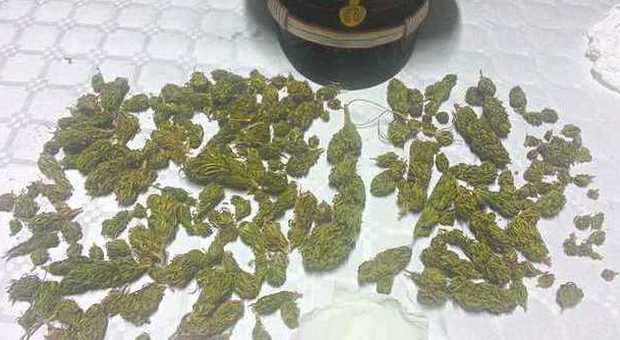 In casa 80 grammi di marijuana: arrestato