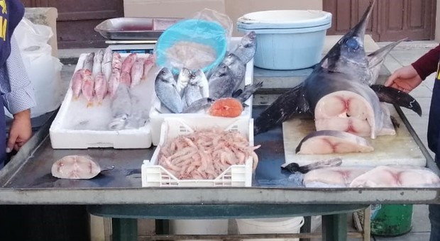Foto di repertorio: controlli sul pesce venduto nei ristoranti